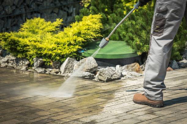 Best Roof Washing  in East Orange, NJ