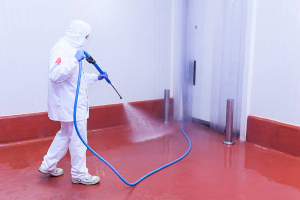 Best Soft Washing  in East Orange, NJ