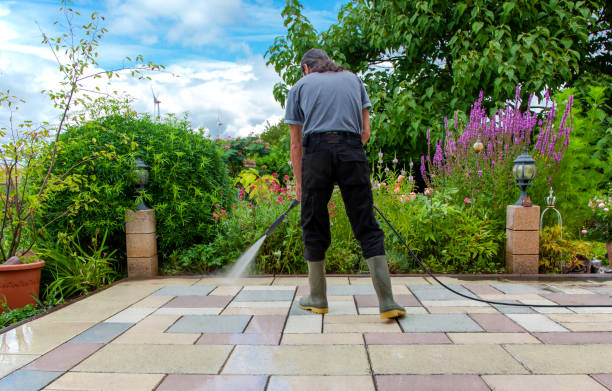 Best Animal Enclosure Cleaning  in East Orange, NJ